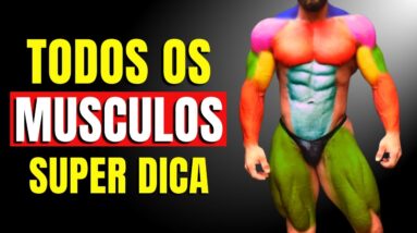 Os ÚNICOS 3 Exercícios Que Você Precisa para construir músculos / Treino | CORPO HIPERTROFIADO