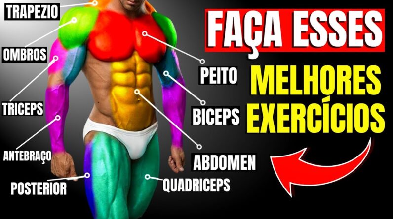 Melhores Exercícios para cada Grupamento Muscular que transformarão seu corpo | CORPO HIPERTROFIADO