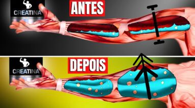 Seu corpo SEM Creatina vs COM Creatina: Efeitos de Tomar Creatina / Suplemento | CORPO HIPERTROFIADO