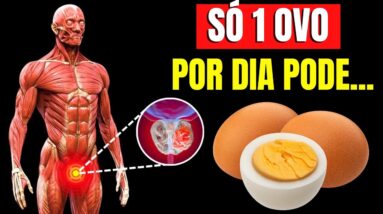 MUITOS COMEM OVOS, mas 90% NÃO SABEM seus EFEITOS no CORPO / Cozidos e Fritos | CORPO HIPERTROFIADO