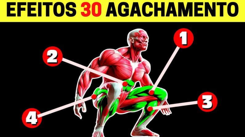 Isso é o que acontece com o seu corpo se você Agachar TODOS OS DIAS / Agachamento |  HIPERTROFIADO