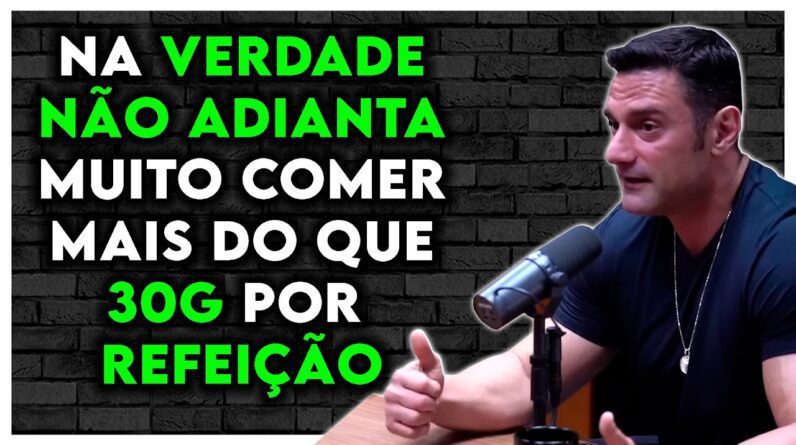 QUAL A QUANTIDADE MÁXIMA DE PROTEÍNA ABSORVIDA POR REFEIÇÃO? | Dr Felipe Donatto Monster Cast